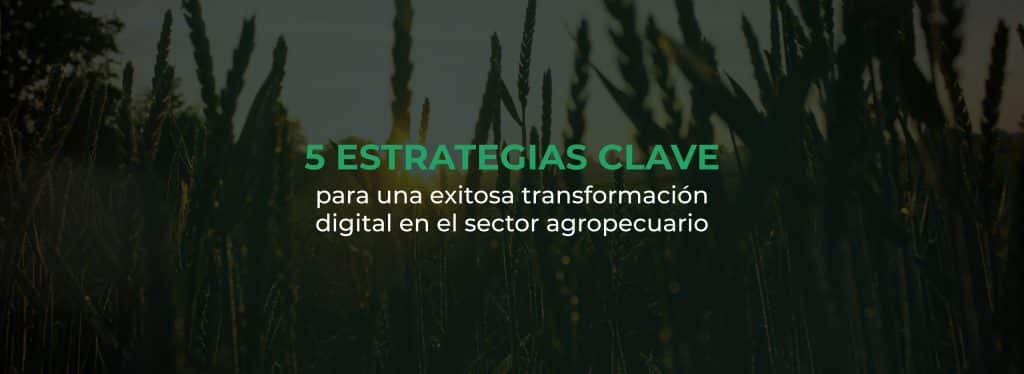 5 estrategias clave para la transformación digital del sector agropecuario