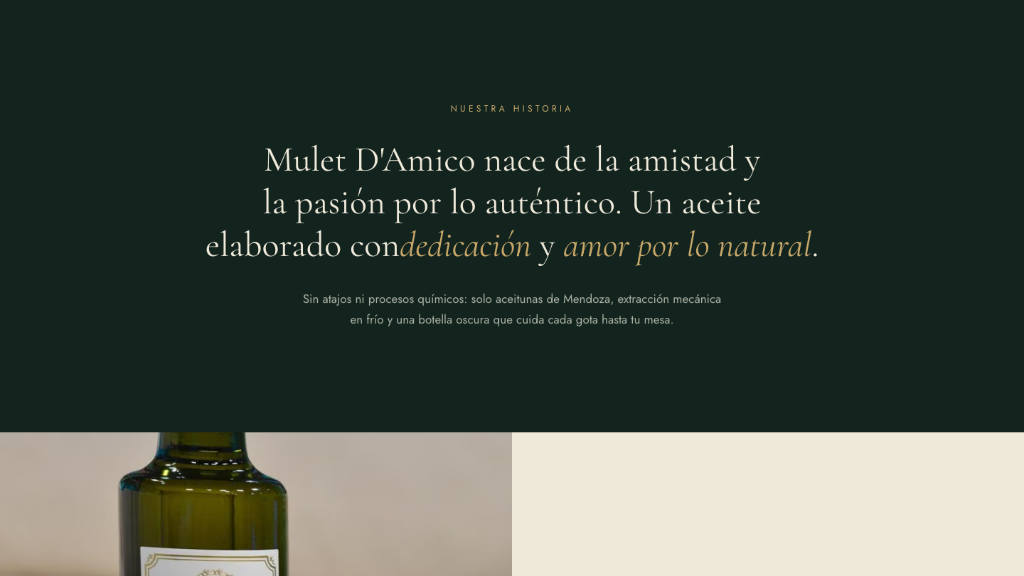 Sección Nuestra historia del sitio de Mulet D'Amico